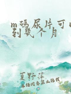 m码尿片可以用到几个月