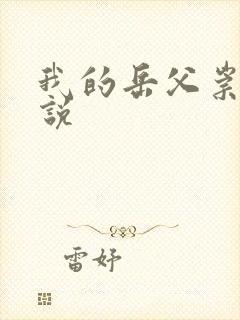 我的岳父崇祯小说