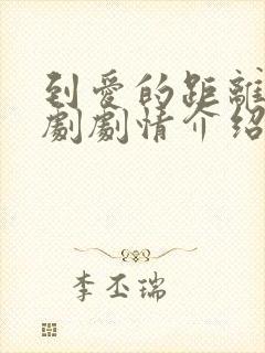 到爱的距离电视剧剧情介绍