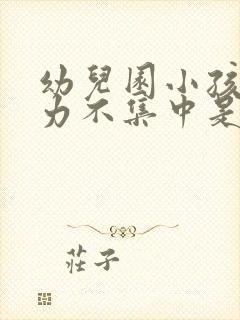 幼儿园小孩注意力不集中是什么原因