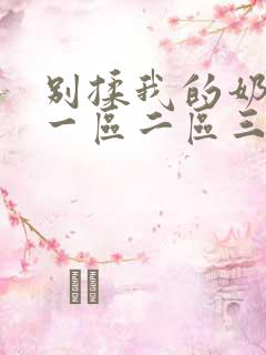 别揉我的奶头~一区二区三区