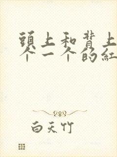 头上和背上长一个一个的红疙瘩