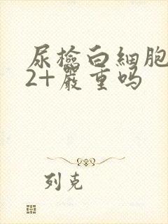 尿检白细胞酯酶2+严重吗