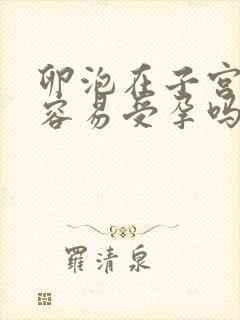 卵泡在子宫前位容易受孕吗