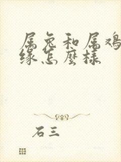 属兔和属鸡的姻缘怎么样