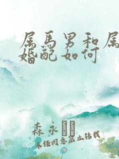 属马男和属鸡女婚配如何