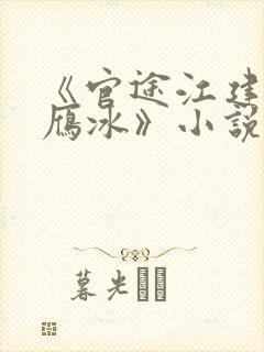 《官途江建忠沈雁冰》小说