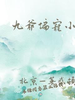 九爷偏宠小甜妻