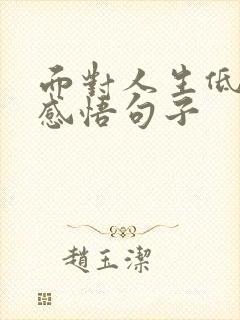 面对人生低谷的感悟句子