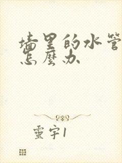 墙里的水管漏水怎么办