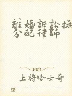 离婚诉讼抚养权分配律师