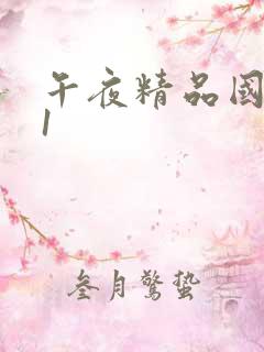 午夜精品国产91