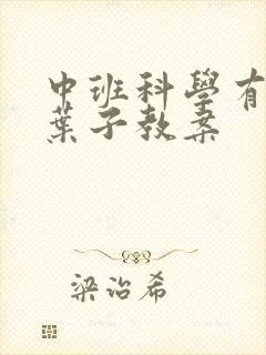 中班科学有趣的叶子教案