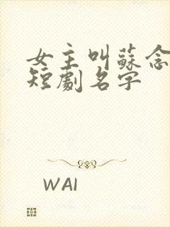 女主叫苏念笙的短剧名字