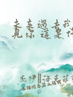 未来过去我只想见你 这是什么歌