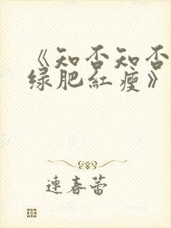 《知否知否应是绿肥红瘦》在线观看