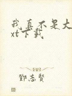 我真不是大佬txt下载