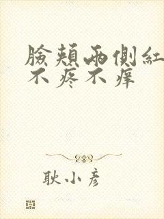 脸颊两侧红疙瘩不疼不痒