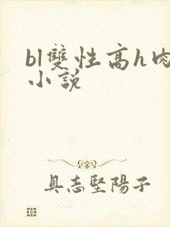 bl双性高h肉小说
