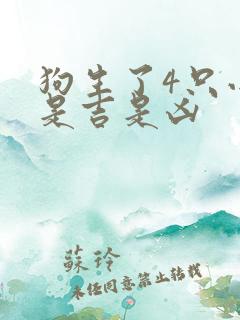 狗生了4只小狗是吉是凶