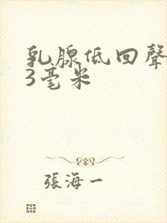 乳腺低回声结节3毫米