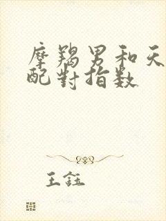 摩羯男和天秤女配对指数