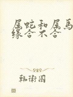 属蛇和属马的姻缘合不合