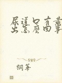 尿道口有黄脓流出怎么回事