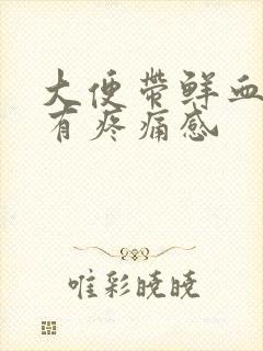 大便带鲜血肛门有疼痛感