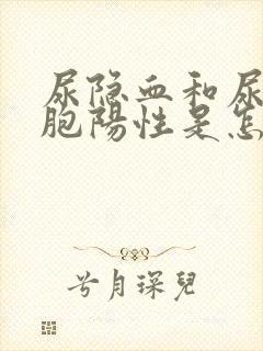 尿隐血和尿白细胞阳性是怎么回事