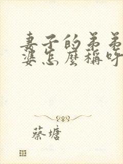 妻子的弟弟的老婆怎么称呼