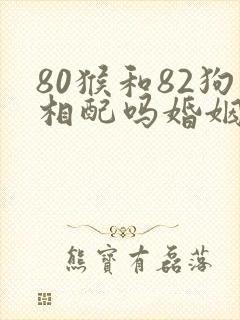 80猴和82狗相配吗婚姻