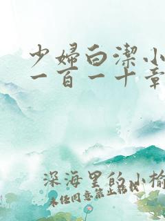 少妇白洁小说第一百一十章