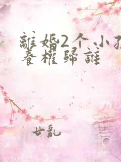 离婚2个小孩抚养权归谁