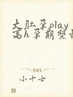 大肚孕play高h孕期双性