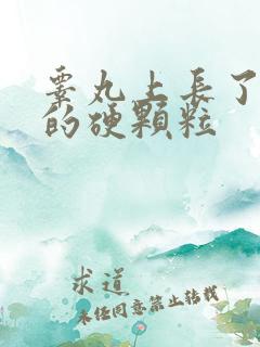 睾丸上长了白色的硬颗粒