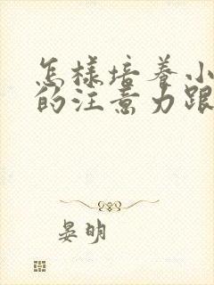 怎样培养小孩子的注意力跟专注力