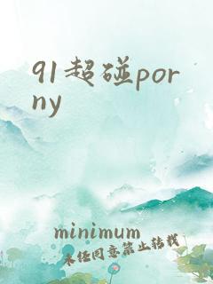91超碰porny