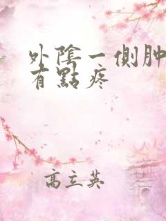 外阴一侧肿了还有点疼