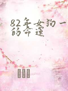 82年女狗一生的命运