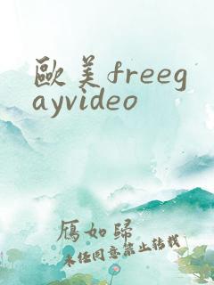 欧美freegayvideo