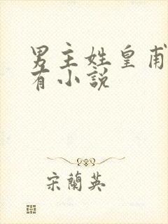 男主姓皇甫的所有小说