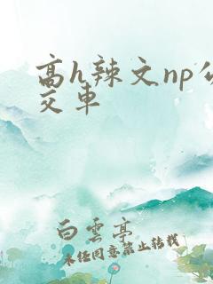 高h辣文np公交车