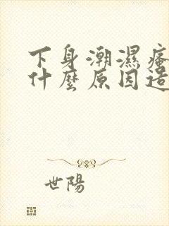 下身潮湿瘙痒是什么原因造成的