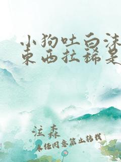 小狗吐白沫不吃东西拉稀是怎么回事