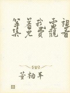 等着我电视剧全集免费观看