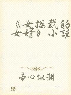 《女总裁的上门女婿》小说