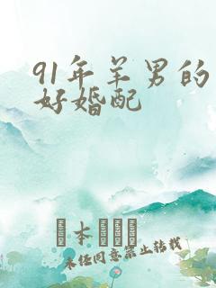 91年羊男的最好婚配