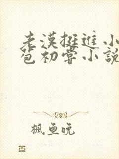 老汉挺进小莲的苞初尝小说