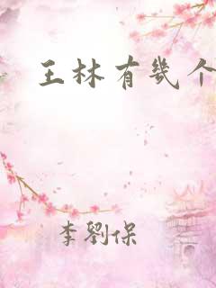 王林有几个老婆